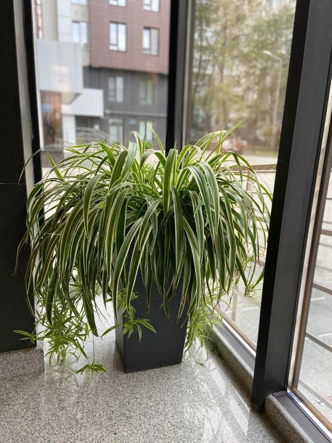 צ'יסינאו Sky House Central Apartment מראה חיצוני תמונה